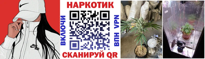 Купить наркотики Медногорск NBOMe  Псилоцибиновые грибы  Меф  Амфетамин 