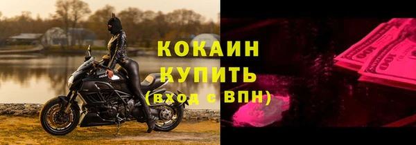 крисы Верхний Тагил