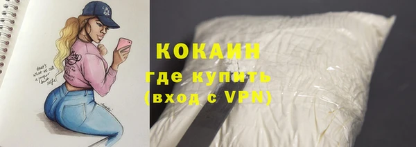 крисы Верхний Тагил