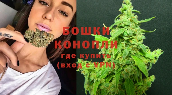 винт Верея