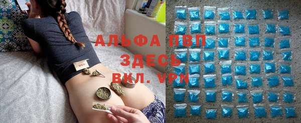 винт Верея