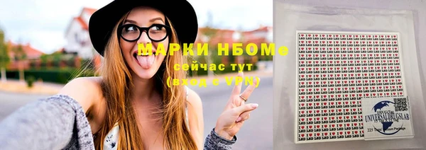 крисы Верхний Тагил