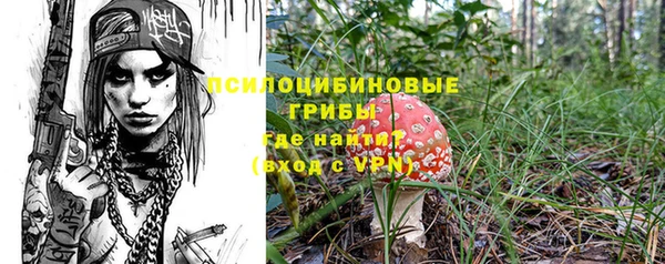крисы Верхний Тагил