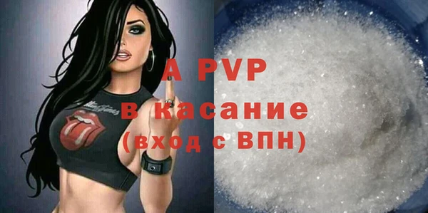 винт Верея