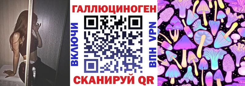 дарк нет клад Медногорск Галлюциногенные грибы Cubensis купить наркотики цена